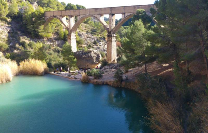 1000226682 11753779445 large