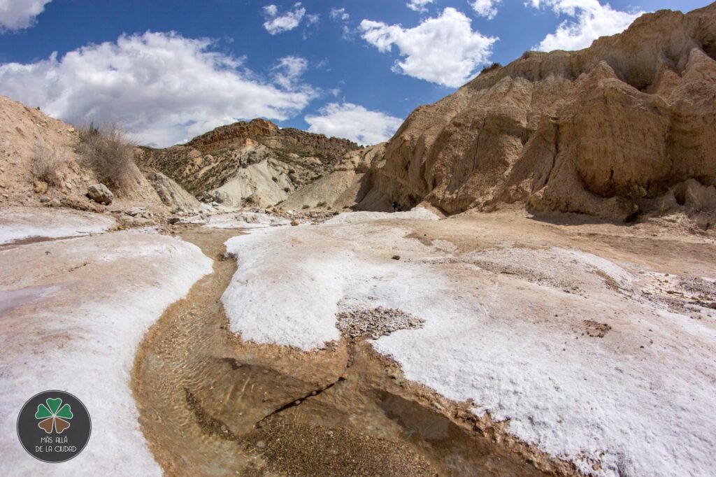 488909297 1253407119580041 7967649092806770232 n