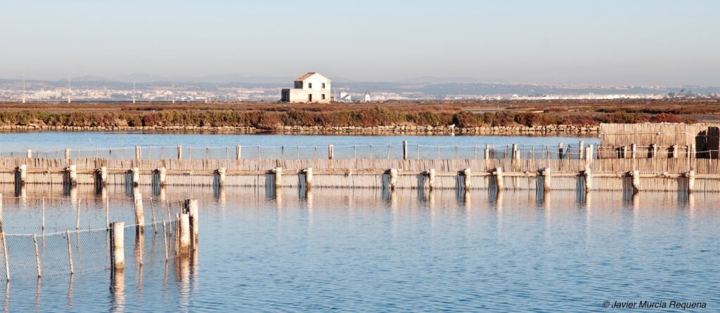 encañizadas javier murcia
